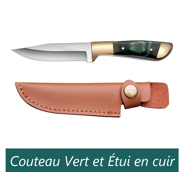 couteau cuisine à fruits
